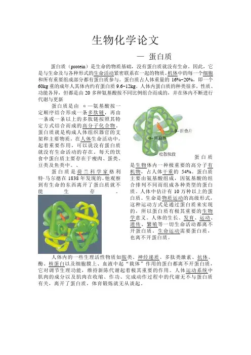 生物化学论文.蛋白质doc