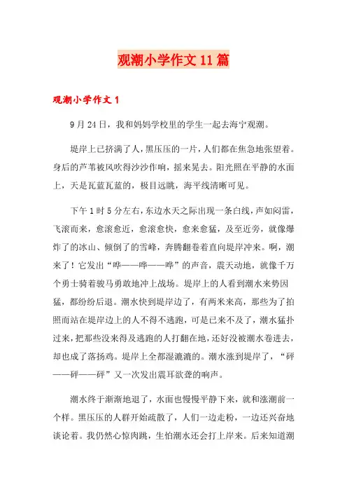 观潮小学作文11篇