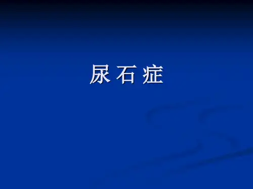 《尿石症》PPT课件-PPT课件