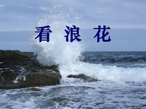 《看浪花》PPT优秀教学课件4