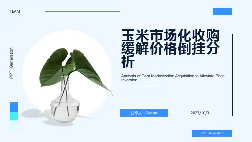 2023年玉米市场化分析：市场化收购缓解玉米产业价格倒挂报告模板