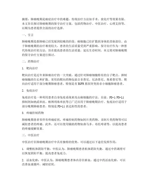 肺癌晚期能保守治疗方案