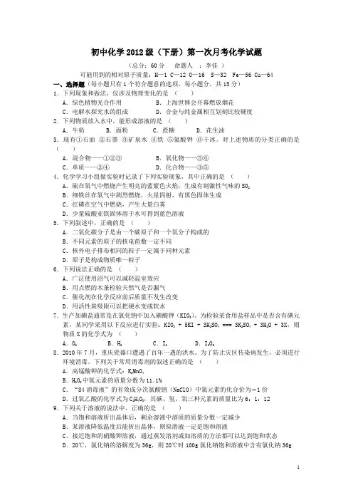 九年级化学下册第一次月考化学试题及答案 2