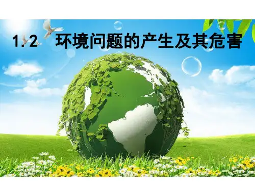 1.2环境问题的产生及其危害