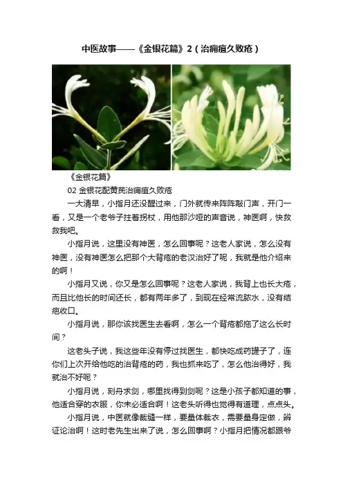 中医故事——《金银花篇》2（治痈疽久败疮）