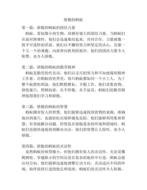 骄傲的蚂蚁