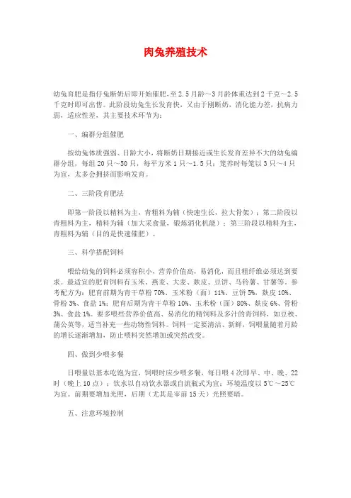 肉兔养殖技术和注意事项