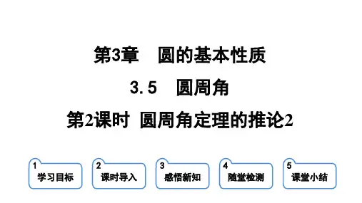 3.5.2 圆周角定理的推论2 课件(共18张PPT)2023-2024学年浙教版九年级上册数学