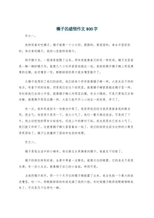 橘子的感悟作文800字
