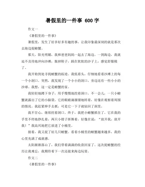 暑假里的一件事 600字