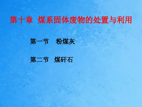 固体废弃物处置技术--煤矸石ppt课件