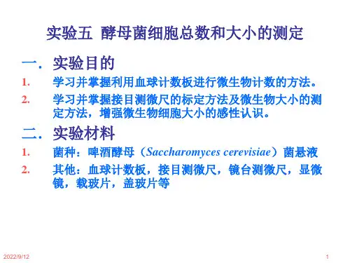 微生物学实验5 酵母菌细胞总数和大小的测定