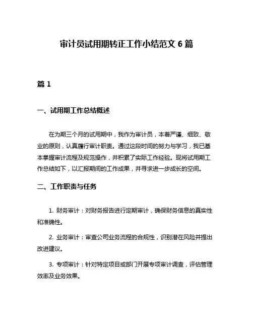 审计员试用期转正工作小结范文6篇