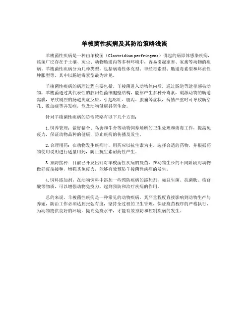 羊梭菌性疾病及其防治策略浅谈 2