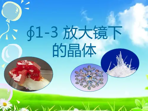 新版六年级科学下册精品课件   1.3 放大镜下的晶体   教科版(共31张)
