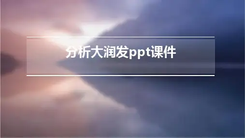分析大润发ppt课件