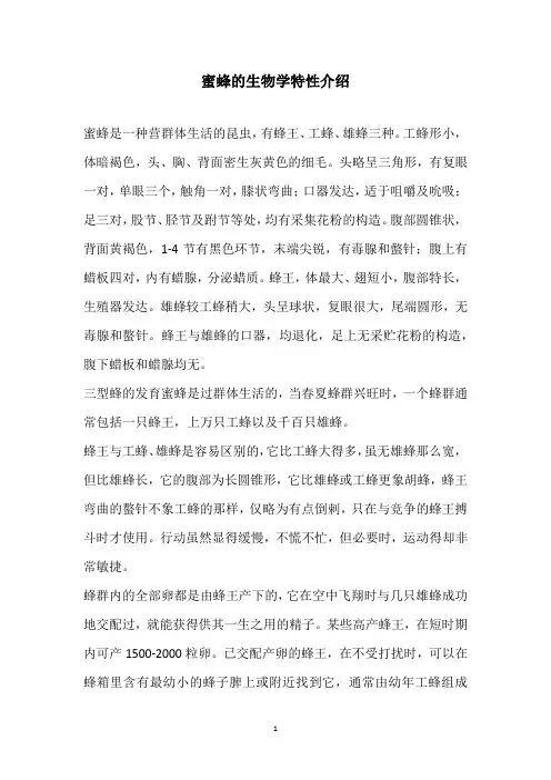 蜜蜂的生物学特性介绍