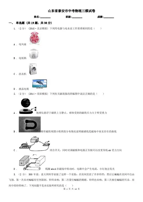 山东省泰安市中考物理三模试卷