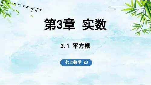 3.1 平方根七年级上册数学浙教版