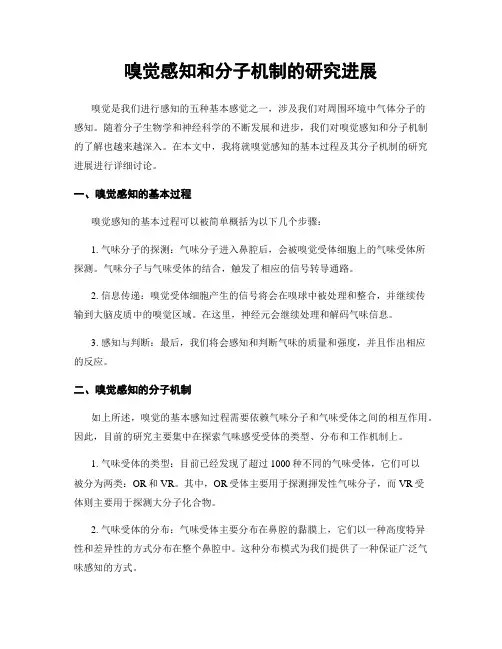 嗅觉感知和分子机制的研究进展