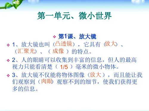 六年级下册科学课件-第一单元 微小世界｜ 教科版 (共21张PPT)