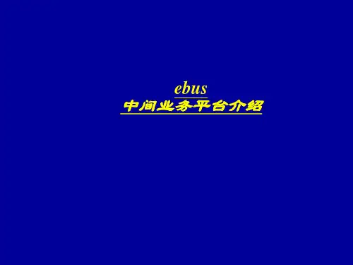 中间业务平台介绍讲解学习