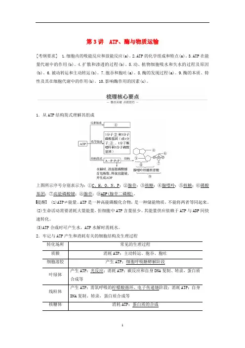 高考生物二轮复习 专题二 细胞的代谢 第3讲 ATP、酶与物质运输教案