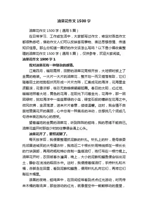 油菜花作文1500字（通用5篇）