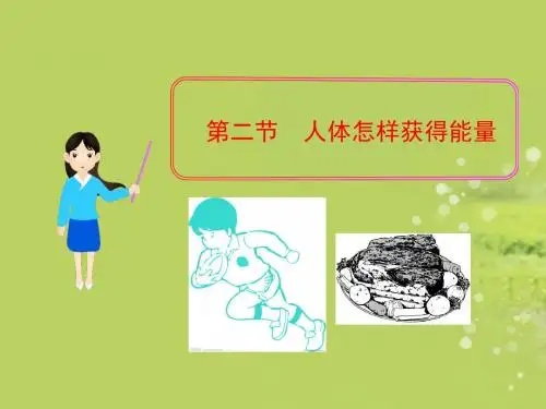 人体怎样获得能量ppt3 济南版