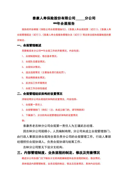 保险公司年度合规报告模板