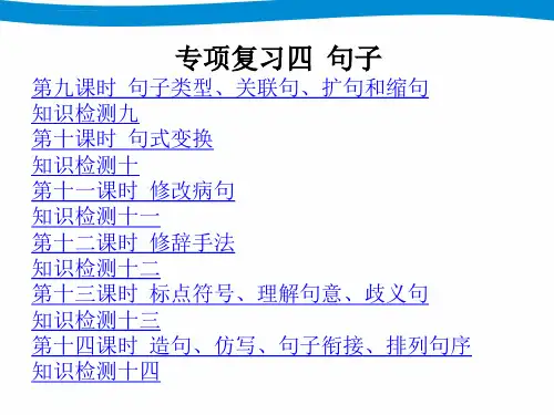 小升初语文专项复习句子ppt课件