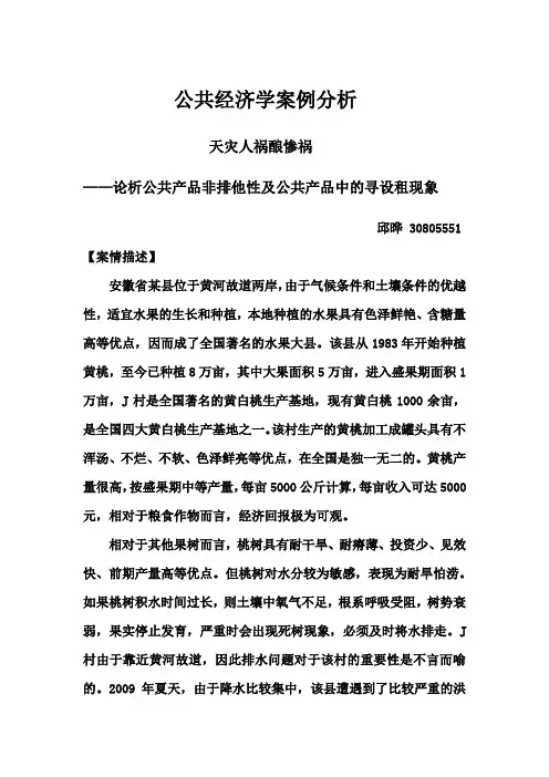 公共经济学案例分析