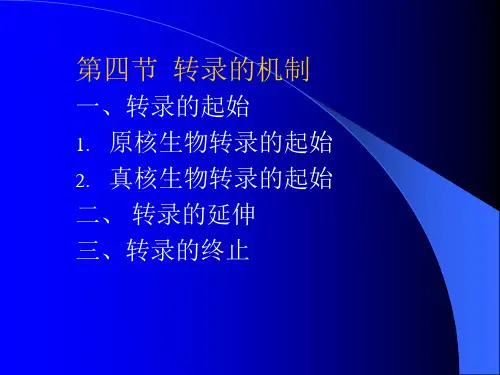 第六章 转录2