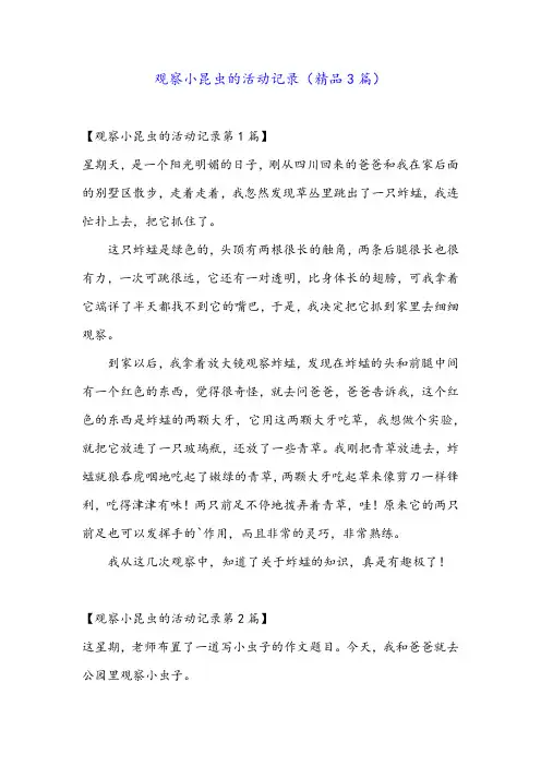 观察小昆虫的活动记录(精品3篇)