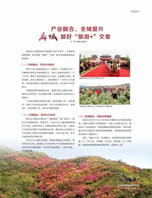 产业融合,全域提升麻城做好“旅游”文章