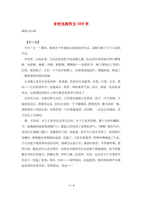 乡村见闻作文500字