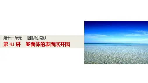 多面体的表面展开图