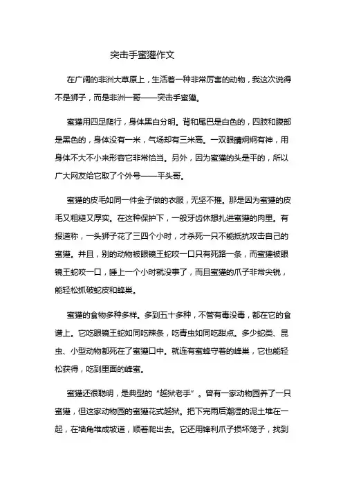 突击手蜜獾作文
