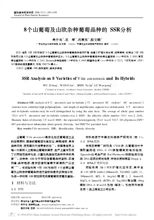 8个山葡萄及山欧杂种葡萄品种的SSR分析