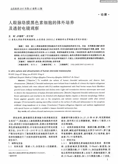 人眼脉络膜黑色素细胞的体外培养及透射电镜观察