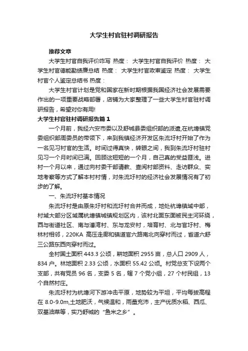 大学生村官驻村调研报告