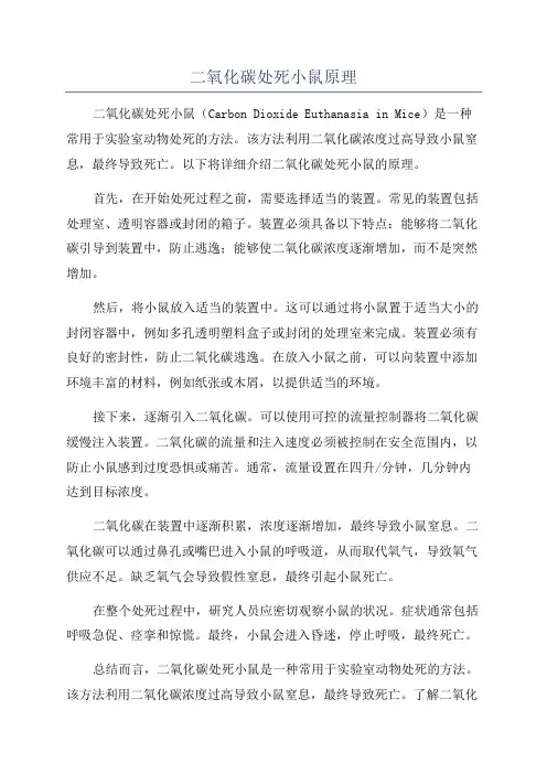 二氧化碳处死小鼠原理