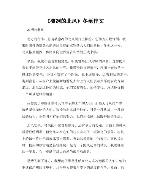 《凛冽的北风》冬至作文