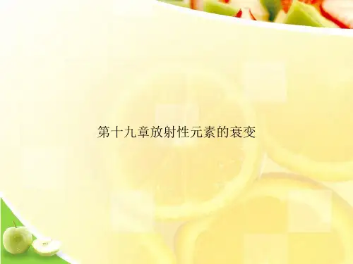 第十九章放射性元素的衰变ppt文档