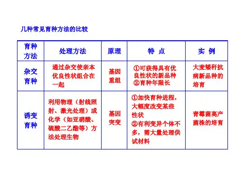 几种常见育种方法的比较