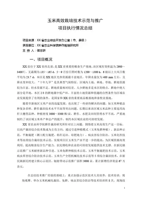 玉米高效栽培技术示范与推广项目执行情况总结