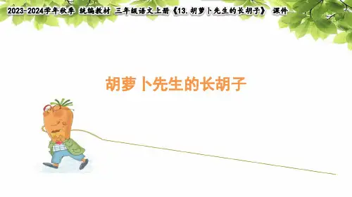 13 胡萝卜先生的长胡子 课件(共32张PPT)