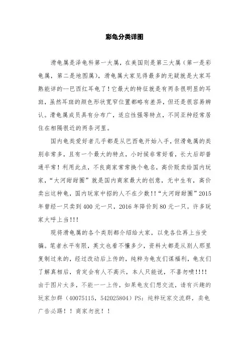 彩龟分类详图