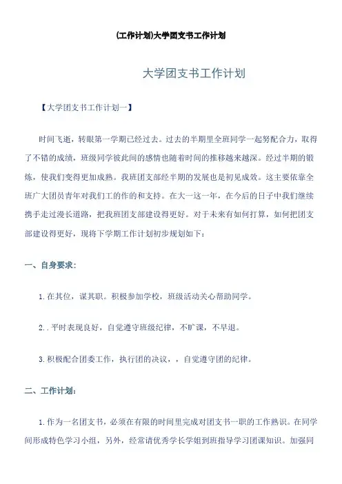 大学团支书工作计划word版本