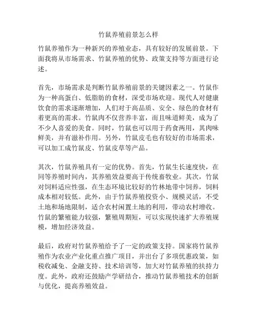 竹鼠养殖前景怎么样